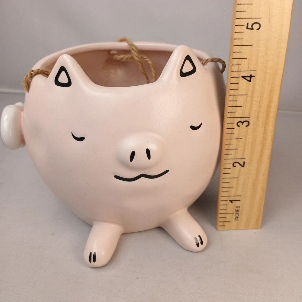 Pottery Pink Flying Ping Planter Pot Succulent Plant Small 3.5